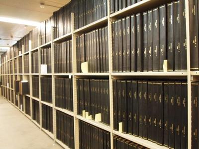 Archival Collection #239 - Grand Rapids Press Collection
