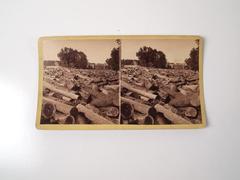 Stereoview
