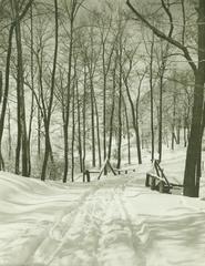 Photograph, Snowy Downhill Driveway
