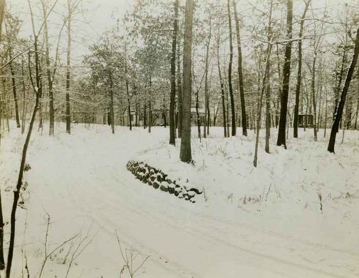 Photograph, Winter Driveway