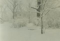 Photograph, Snowy House