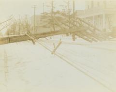 Photograph, Downed Power Lines Close-up