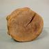 Log End, Log Mark Tlc