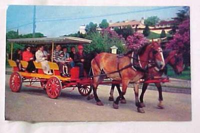 Postcard, Lilac Time, Mackinac Island
