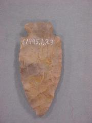 Projectile Point