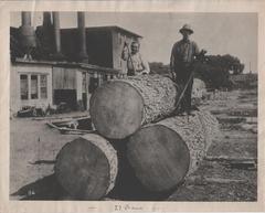 Photograph, Lumber Yard, Grand Rapids Veneer Works