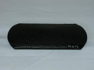 Eyeglasses in Case