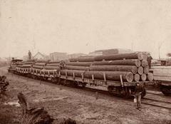 Photograph, Logs On Train
