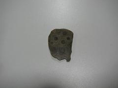 Petoskey Stone