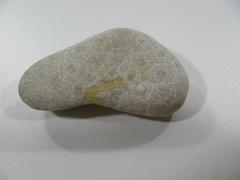 Petoskey Stone
