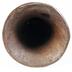 Horn