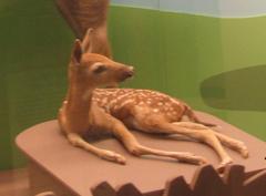 Fawn Mount