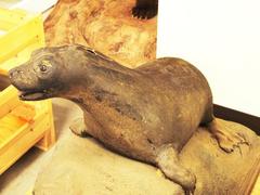 Seal