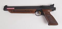 BB Pistol