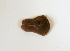 Hide Scraper