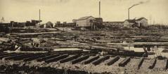 Photograph, Logs on a Riverbank at Michigan Saw Mill