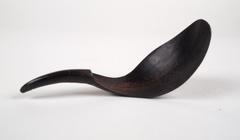 Spoon