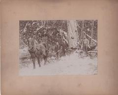 Photograph, Logging in Michigan, Four Loggers Harvest Trees in Forest