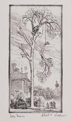 Print, 'tree Trimmers - State Iv (final; Edition State)' (4 Of 4)