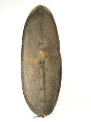 Shield
