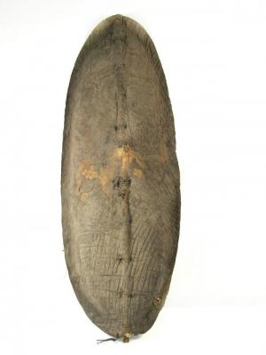 Shield