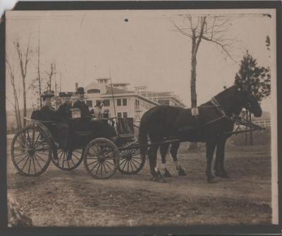 Photograph, Horse and Buggy