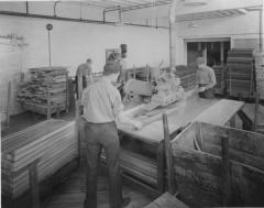 Photograph, Furniture Workers Operating Table Saw