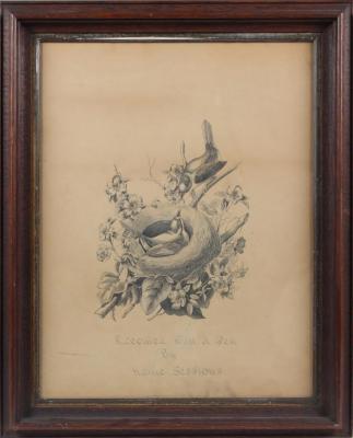 Original ink drawing, 'Mother Bird Feeding Nested Chick"