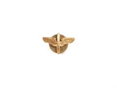 Pin, United States Army Air Corps