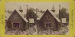 Stereoview, The Dairy