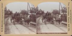 Stereoview, Peasants Returning From Work