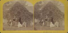 Stereoview, Home