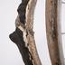 Ladies Chainless Bicycle, Clipper