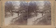 Stereoview, The Yoological Highway in Lincoln Park