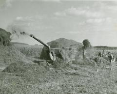 Photograph, Farm work