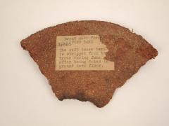 Bread made from Pine Bark, Finland