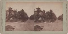 Stereoview