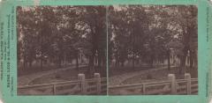 Stereoview