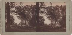 Stereoview