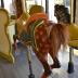 Carousel Figure, Horse
