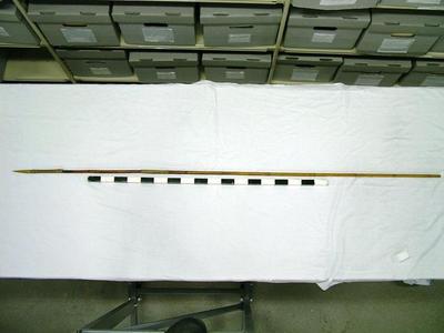 Dart