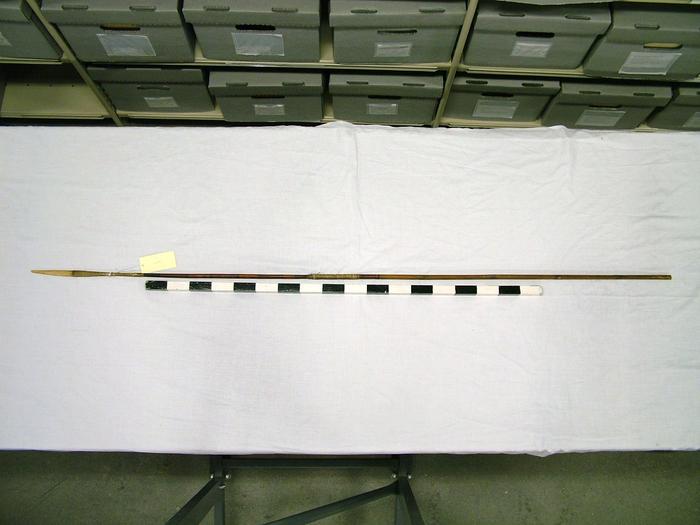 Dart