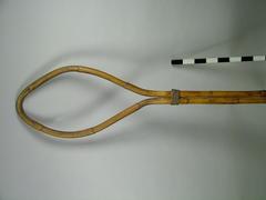 Bamboo Mancatcher