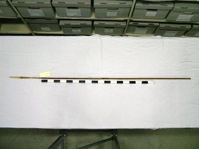 Dart