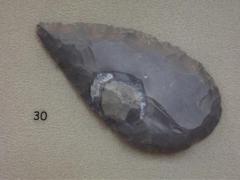 Projectile Point Turkey Tail