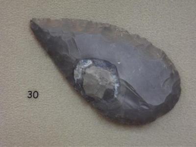Projectile Point Turkey Tail