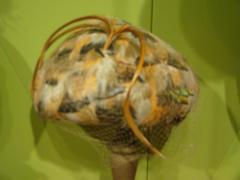 Hat, Exotic Feather Hat