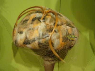 Hat, Exotic Feather Hat