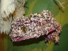 Hat, Purple With Lilacs