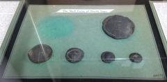 Currency, Shell Coin, North Siam